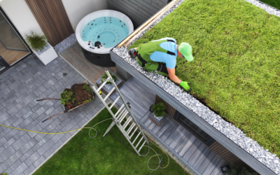 The rise of green roofs: Benefits and how to implement them in your home